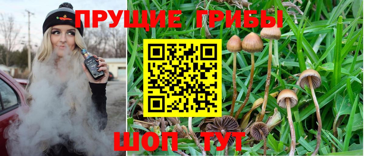 Псилоцибиновые грибы ЛСД  Псилоцибиновые грибы MAGIC MUSHROOMS  Шали  Вход с VPN 